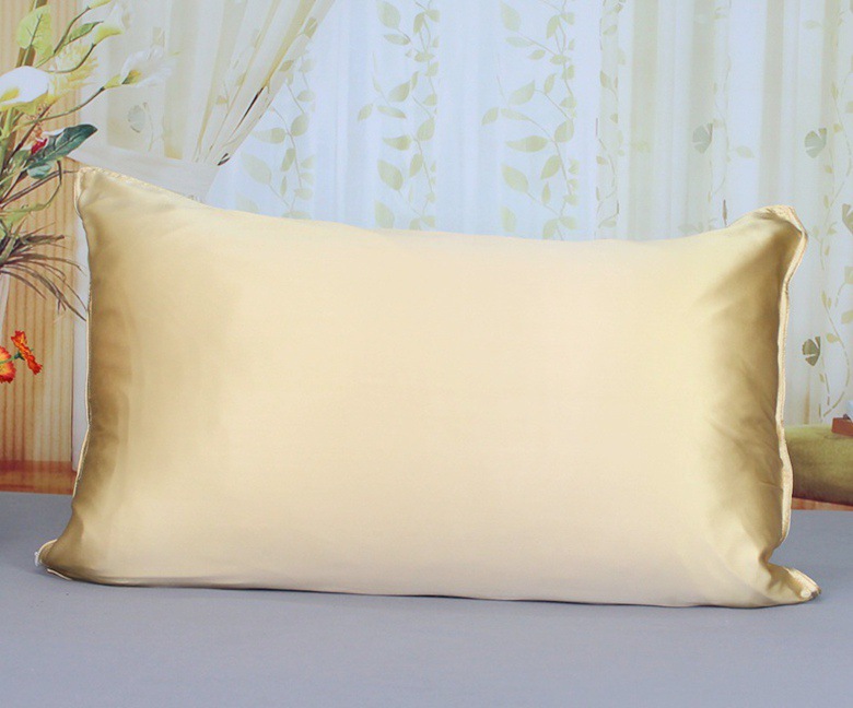 Organic Silk Satin Travel Pillow Case for Skin