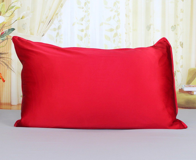 100 Percent Natural Silk Blissy Pillow for Travelling